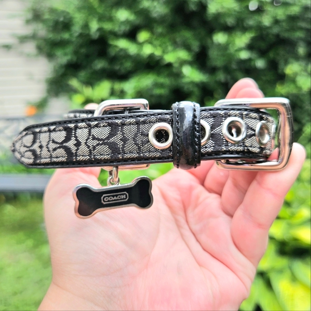 Coach Black Gray Signature Leather Jacquard C Dog Collar size Small 11-13" Bone